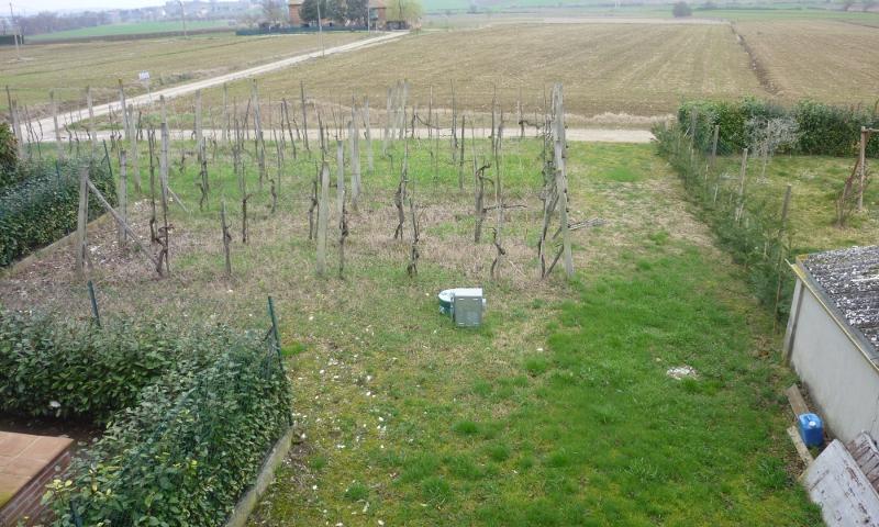Il giardino dietro casa