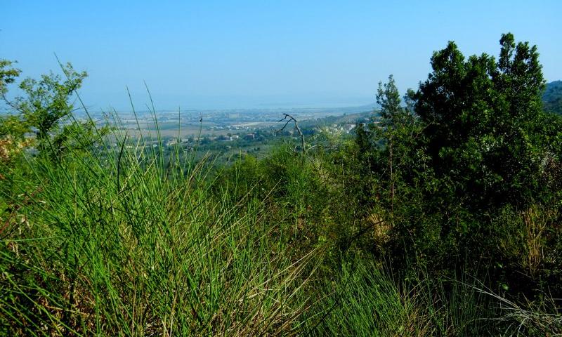 vista